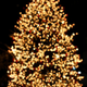 Illustration for article titled Photo Contest: Christmas Lights